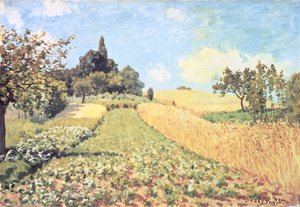 Korenveld door Alfred Sisley