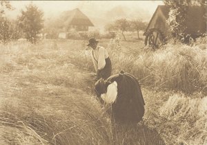Vroege Ochtend, 1894 door Alfred Stieglitz