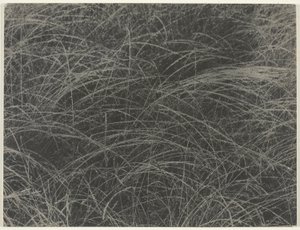 Equivalent door Alfred Stieglitz