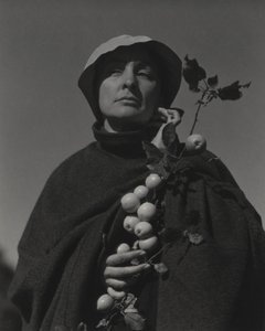  door Alfred Stieglitz