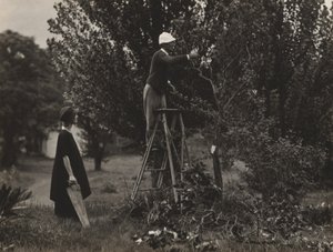  door Alfred Stieglitz