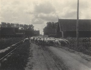  door Alfred Stieglitz