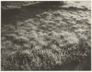 Gras en Vorst, 1934