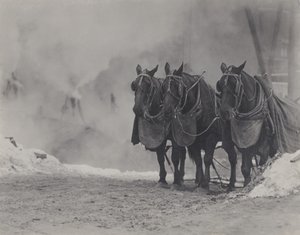  door Alfred Stieglitz