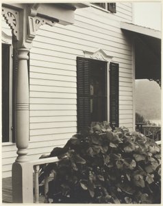 Huis en druivenbladeren