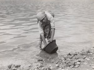  door Alfred Stieglitz