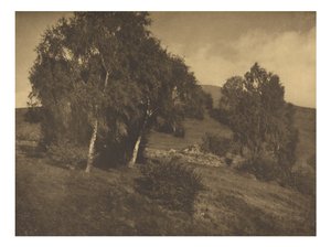 [Landschap, Tirol]. door Alfred Stieglitz