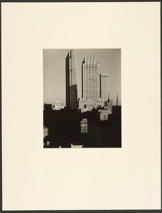 New York van de Shelton