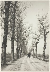Novemberdagen door Alfred Stieglitz