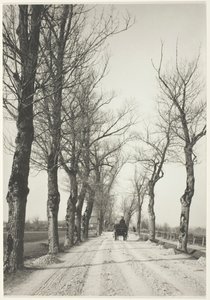 Novemberdagen, 1887, gedrukt 1920-39. door Alfred Stieglitz