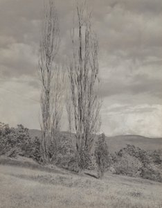  door Alfred Stieglitz