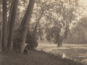 Schetsen in het Bois door Alfred Stieglitz