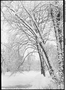 Sneeuwlandschap, Berlijn