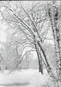 Sneeuwlandschap, Berlijn door Alfred Stieglitz