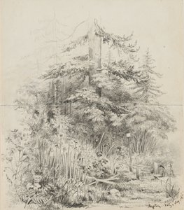 Indiaanse begraafplaats, Oregon, 1841 door Alfred Thomas Agate