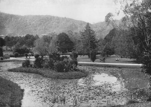 Hakgalla-tuinen vanaf de Lotusvijver, Nuwara Eliya, ca. 1890, 1910 door Alfred William Amandus Plate