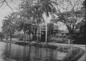 Kandy - Een schilderachtig hoekje van het meer, c1890, 1910