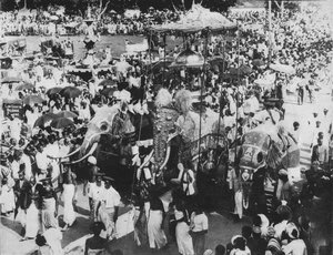 Heilige olifant in de Perahera-processie, Kandy, Ceylon, c1890, 1910