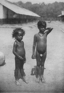 Tamil landgoedkinderen, ca. 1890, 1910