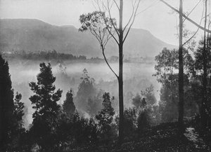 De Ochtendmist die Oprijst in Nuwara Eliya, ca. 1890, 1910 door Alfred William Amandus Plate