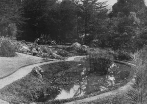 De Rots Tuin, Hakgalla Tuinen, Nuwara Eliya, ca. 1890, 1910 door Alfred William Amandus Plate