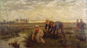 Rietsnijders