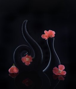  door Alice Sheng