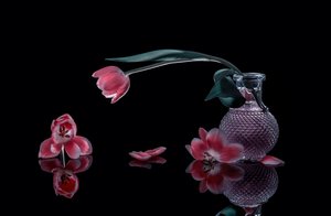  door Alice Sheng