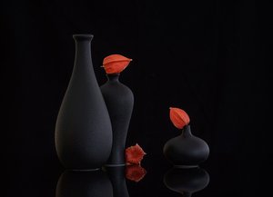  door Alice Sheng