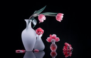  door Alice Sheng
