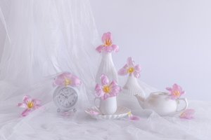  door Alice Sheng