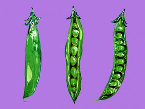 Frisse groene erwten