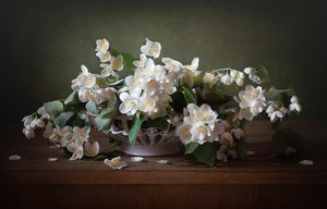  door Alina Lankina