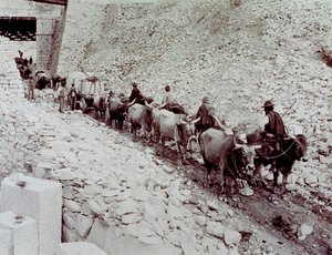 Scène waarin marmerblokken worden vervoerd vanuit een steengroeve in Carrara. De wagen wordt getrokken door tien ossen