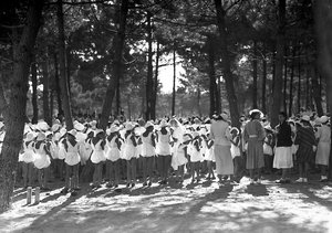 Villa Rosa Maltoni Mussolini: vrouwelijke studenten verzameld in het dennenbos door Fratelli Alinari