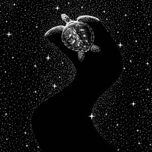 Kosmische zeeschildpad door Alirıza ÇAKIR