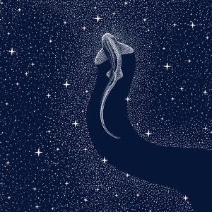 Kosmische haai door Alirıza ÇAKIR