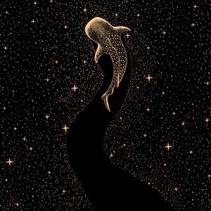 Kosmische walvishaai door Alirıza ÇAKIR