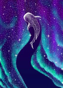 Noorderlicht-walvishaai door Alirıza ÇAKIR