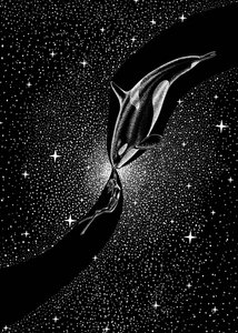 Omhelzing van de sterrenwalvis door Alirıza ÇAKIR