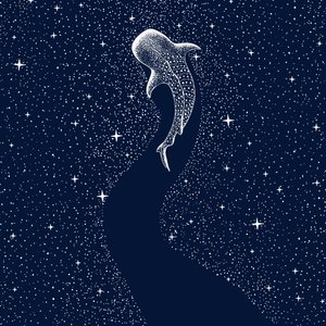 De sterrenhaai door Alirıza ÇAKIR