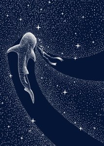 Kosmische reis met de walvishaai door Alirıza ÇAKIR