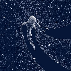 Reis door de Melkweg met de walvishaai door Alirıza ÇAKIR