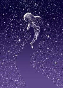 Zwemmen met walvishaaien in de Galaxy door Alirıza ÇAKIR