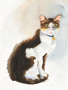 Dave de Saoedische Kat, 2019 door Alison Cooper