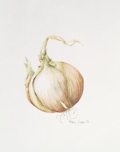 Uienstudie, 1993