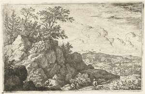 Berglandschap met man en hond