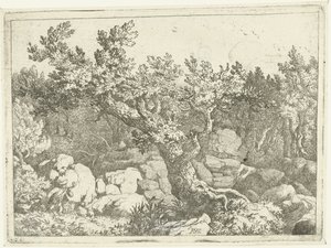 Landschap met jager bij grote boom door Allaert van Everdingen