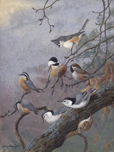 Vogelzaadmix van Allan Brooks door Allan Brooks