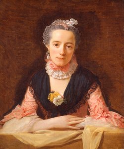 Dame in een roze zijden jurk door Allan Ramsay